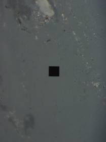 Coal